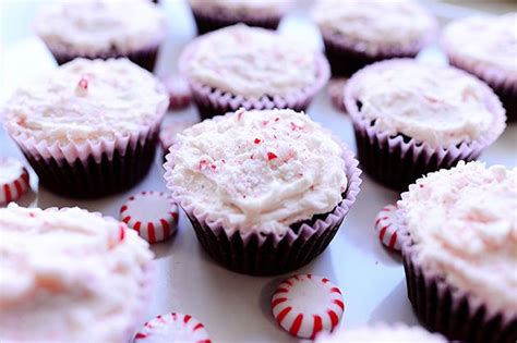 chocolate-cupcakes-with-peppermint-frosting-the image