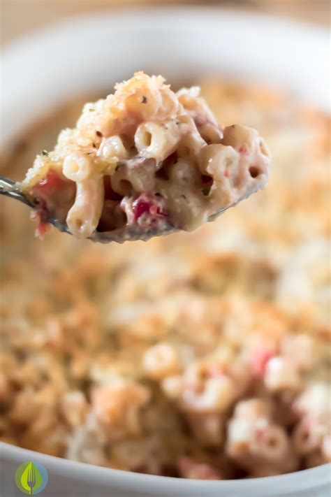 creamy-tomato-mac-and-cheese-bake-the-in-fine image