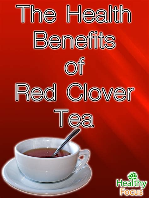 8-red-clover-tea-benefits-healthy-focus image