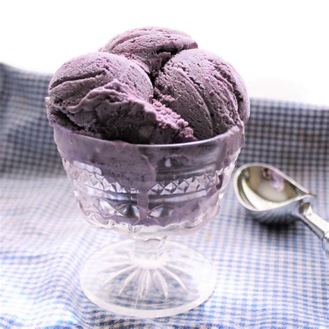 blueberry-swirl-gelato-my-recipe-reviews image