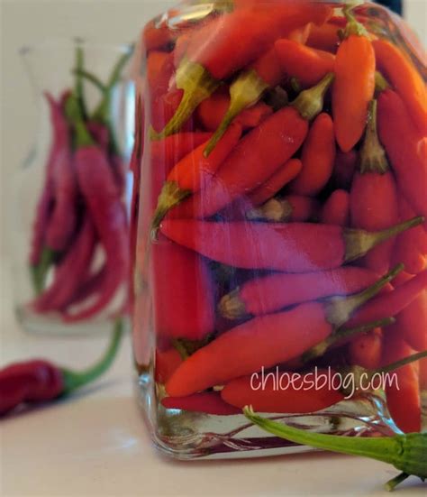 hot-pepper-vinegar-recipe-is-an-easy-southern-staple image