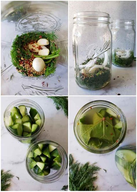 crunchy-refrigerator-pickles-quick-easy-homemade image