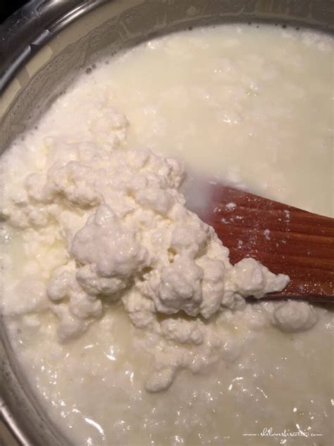 homemade-ricotta-cheese-only-3-ingredients-she image