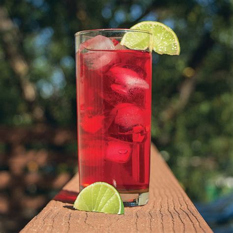 hibiscus-cooler-toddy-cold-brew-coffee image