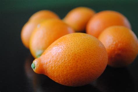 mandarinquat-fruit-maven image