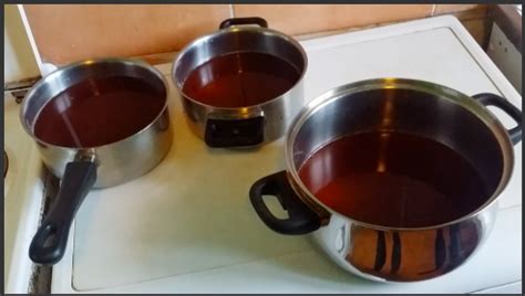 how-to-make-ayahuasca-tea-best-2-simple-ayahuasca image