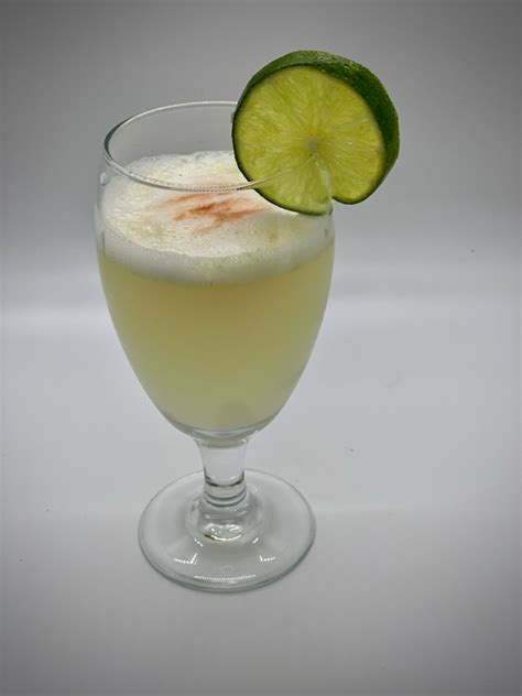 blender-pisco-sour-recipe-the-frugal-chef image