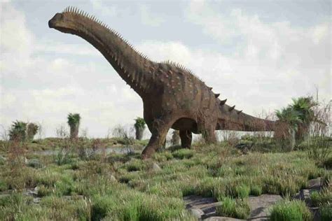 long-neck-dinosaur-with-spikes-on-its-back-spiky image