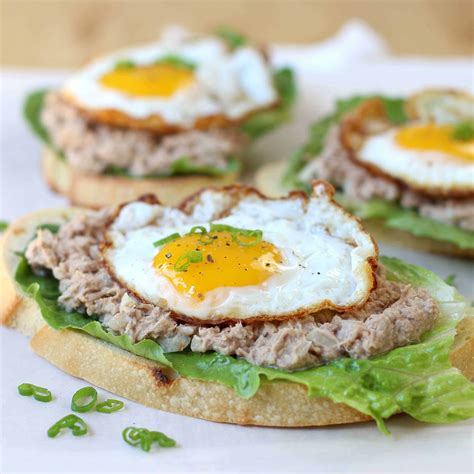 open-face-tuna-salad-and-egg-sandwich-joyous-apron image
