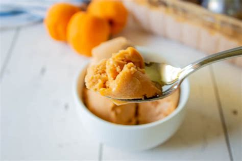 apricot-sorbet-beyond-the-chicken-coop image
