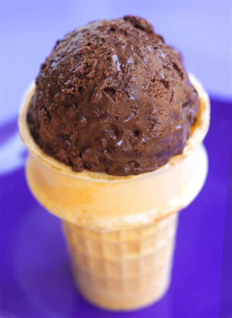 vegan-chocolate-ice-cream-non-vegan-approved image