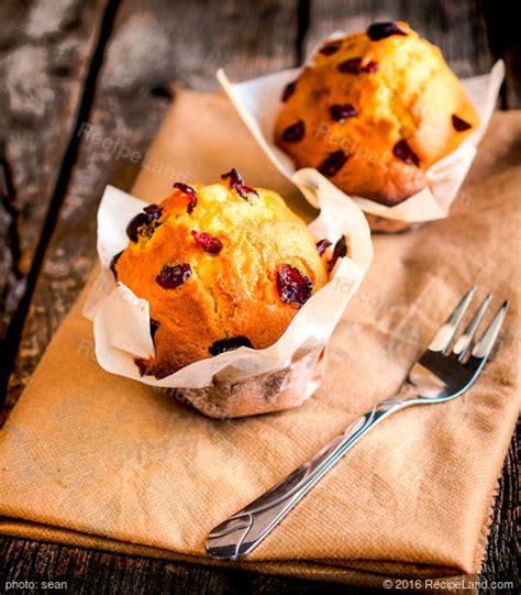 jumbo-cranberry-orange-muffins image