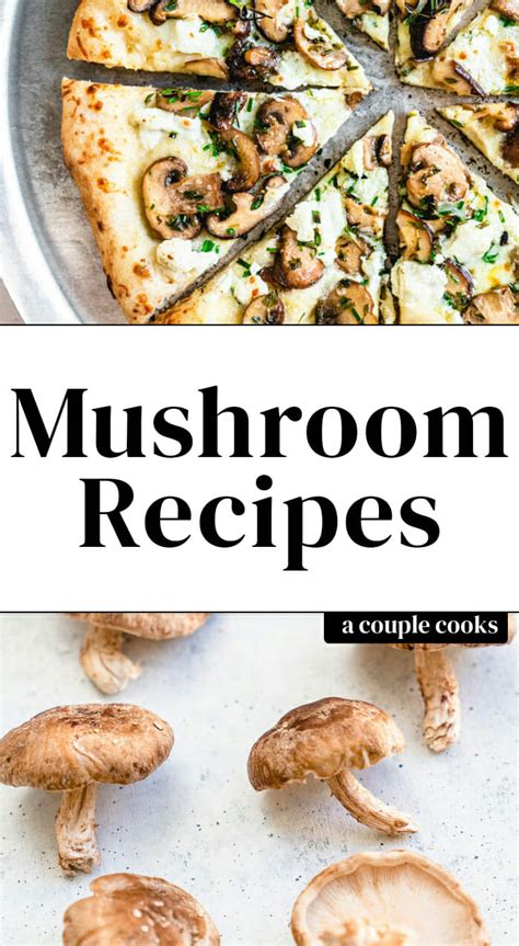 25-best-mushroom-recipes-a-couple-cooks image