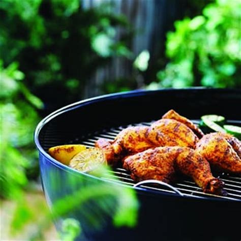 grilled-turkish-chicken-recipe-chatelainecom image