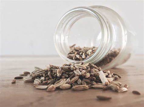 fennel-tea-benefits-health-information-and-side-effects image
