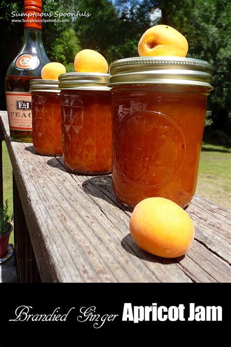 brandied-ginger-apricot-jam-no-pectin-required image