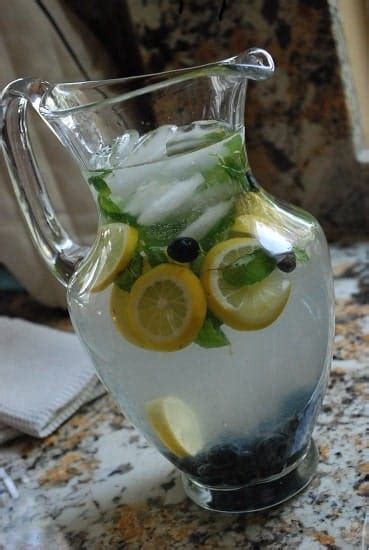 blueberry-mint-lemonade-recipe-0-points-laaloosh image