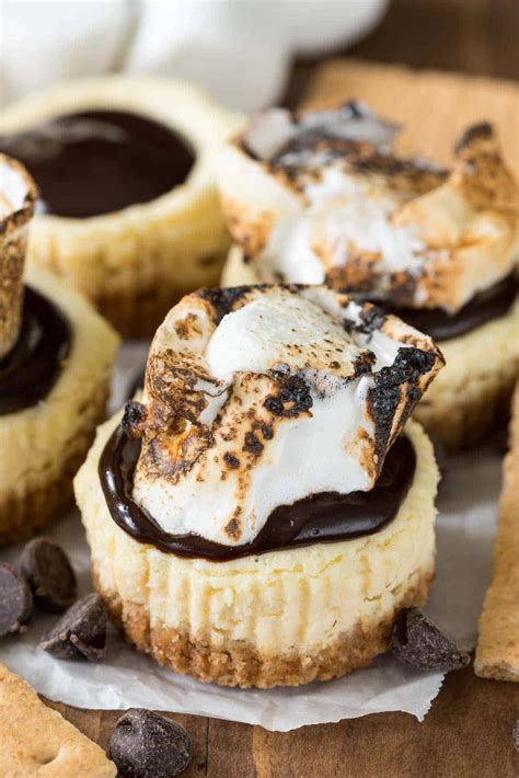 mini-smores-cheesecakes-crazy-for-crust image