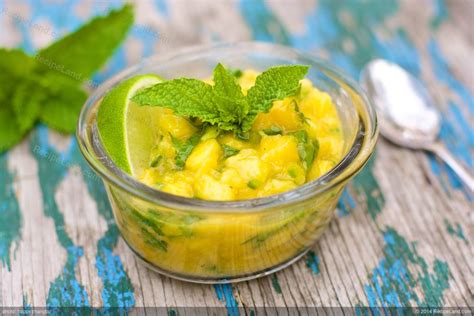 mango-mint-salsa-recipe-recipeland image