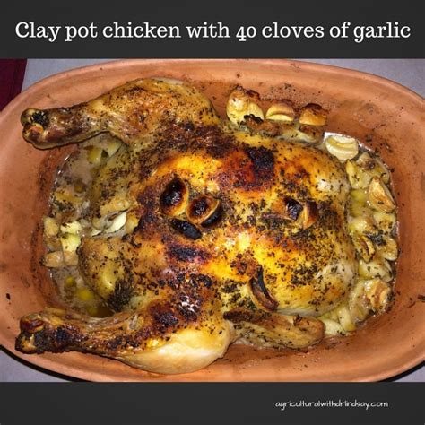 clay-pot-chicken-with-40-cloves-of-garlic image