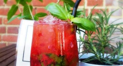 strawberry-and-basil-mojito-river-cottage image
