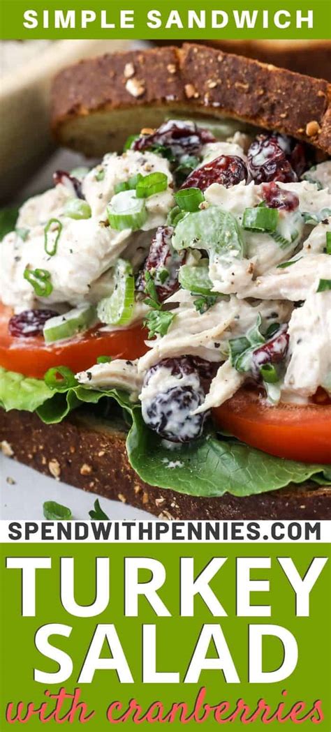 turkey-salad-great-for-leftover-turkey-spend-with image
