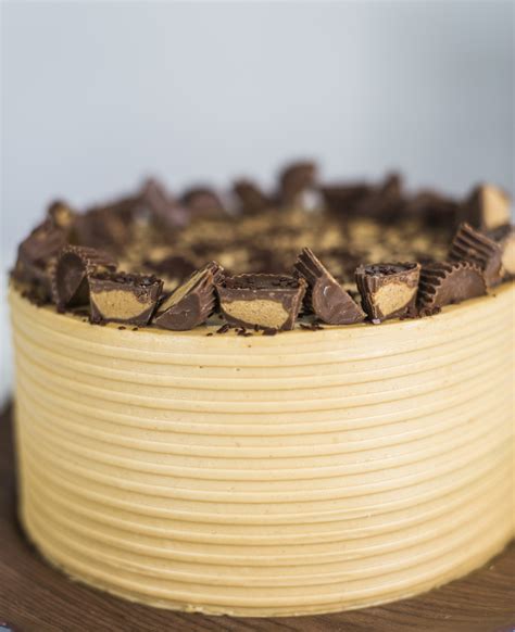 chocolate-peanut-butter-cake-cake-by-courtney image