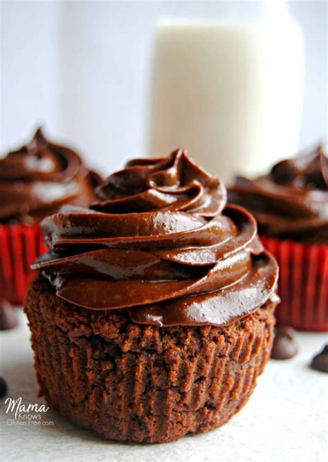 paleo-chocolate-fudge-cupcakes-dairy-free-gluten image