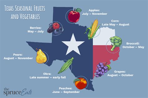 seasonal-fruits-and-vegetables-of-texas-the-spruce-eats image