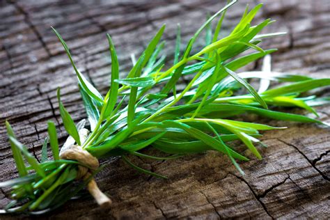 what-is-tarragon-and-how-is-it-used-the-spruce-eats image