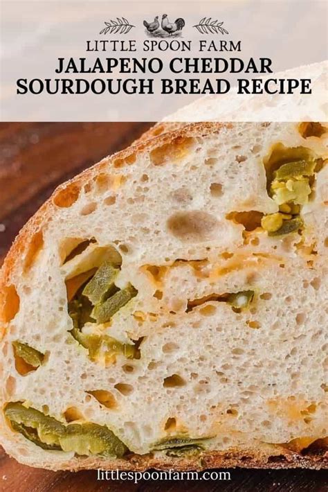 jalapeo-cheddar-sourdough-bread-recipe-little-spoon image