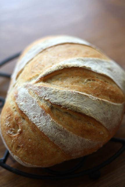 artisan-bread-in-5-minutes-a-day-blogger image