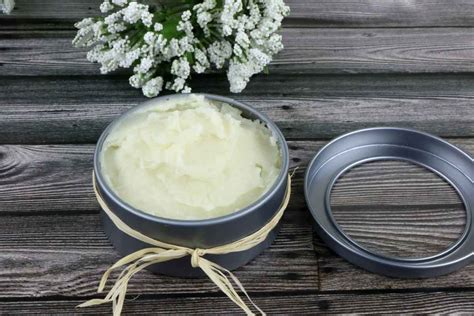 homemade-paw-nose-butter-for-dogs-charitypaws image