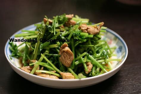 chinese-celery-and-chicken-stir-fry-blogger image