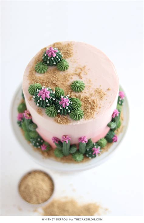 cactus-cake-the-cake-blog image