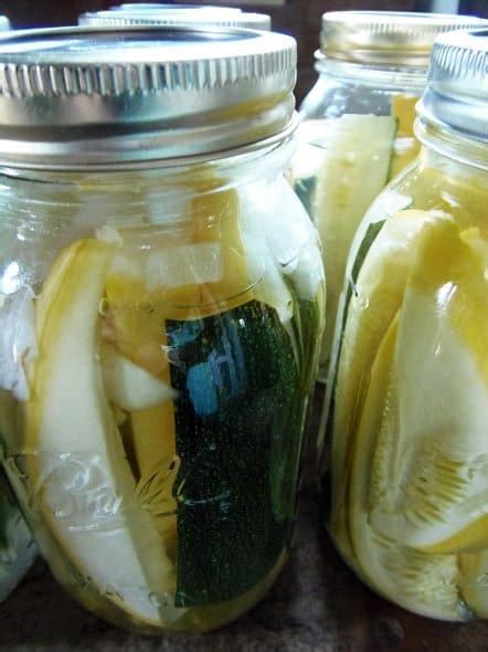 sweet-summer-squash-refrigerator-pickles-my-frugal image
