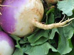 turnip-greens-health-benefits-uses-and-possible-risks image