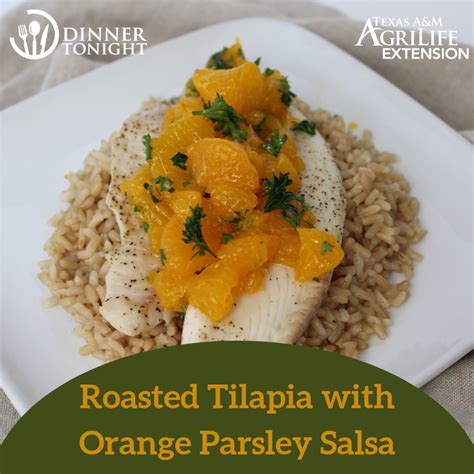 roasted-tilapia-with-orange-parsley-salsa-dinner-tonight image