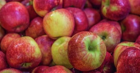 where-to-pick-eat-drink-minnesota-apples-explore image