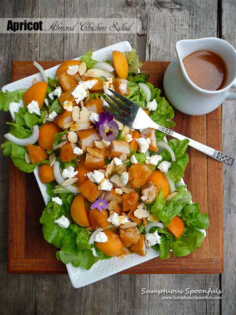 apricot-almond-chicken-salad-sumptuous-spoonfuls image