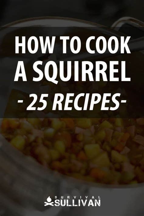 how-to-cook-a-squirrel-25-recipes-survival-sullivan image