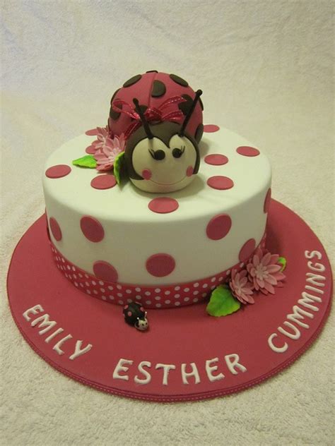 190-best-ladybug-cakes-ideas-ladybug-cakes-bug image