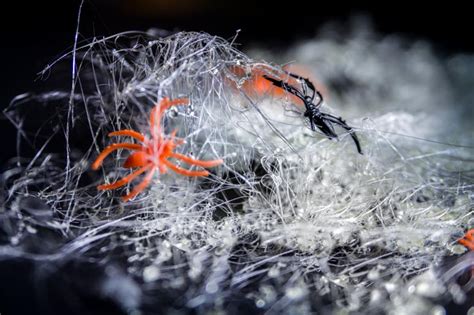 spun-sugar-spider-webs-southern-fatty image