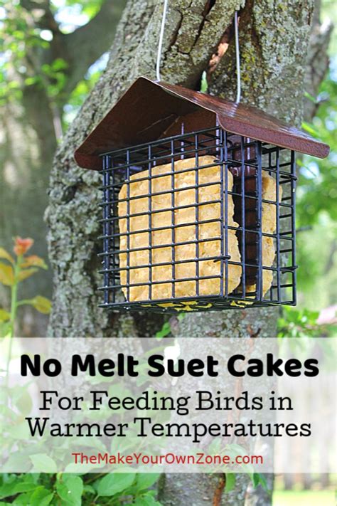 no-melt-suet-cakes-for-birds-the-make-your-own-zone image