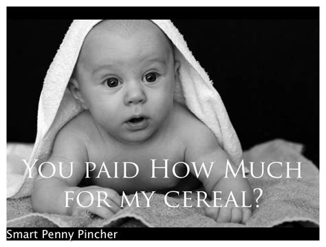 homemade-baby-rice-cereal-smart-penny-pincher image