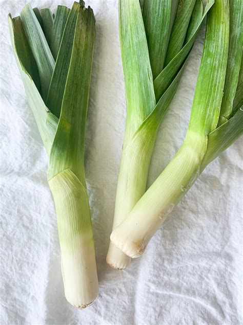 what-goes-well-with-leeks-a-nourishing-plate image