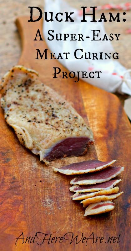 duck-ham-a-super-easy-curing-project-and-here-we image