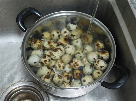 perfect-hard-boiled-quail-eggs-thailand-1-dollar-meals image