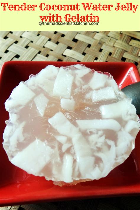 tender-coconut-water-jelly-with-gelatin-the-mad image