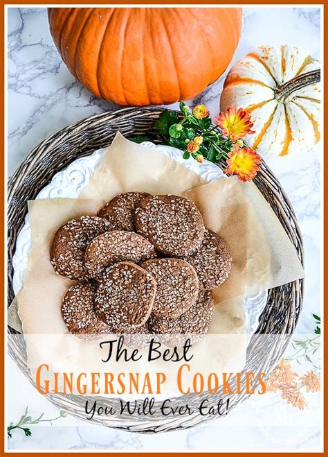 the-best-gingersnap-cookies-you-will-ever-eat image